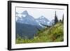 Washington, Mount Rainier National Park. Alpine Meadow and the Tatoosh Range-Jaynes Gallery-Framed Photographic Print