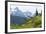 Washington, Mount Rainier National Park. Alpine Meadow and the Tatoosh Range-Jaynes Gallery-Framed Photographic Print