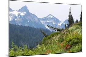 Washington, Mount Rainier National Park. Alpine Meadow and the Tatoosh Range-Jaynes Gallery-Mounted Photographic Print