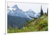 Washington, Mount Rainier National Park. Alpine Meadow and the Tatoosh Range-Jaynes Gallery-Framed Photographic Print