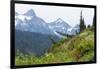 Washington, Mount Rainier National Park. Alpine Meadow and the Tatoosh Range-Jaynes Gallery-Framed Photographic Print