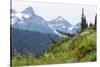 Washington, Mount Rainier National Park. Alpine Meadow and the Tatoosh Range-Jaynes Gallery-Stretched Canvas