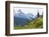 Washington, Mount Rainier National Park. Alpine Meadow and the Tatoosh Range-Jaynes Gallery-Framed Photographic Print