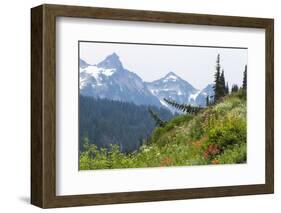 Washington, Mount Rainier National Park. Alpine Meadow and the Tatoosh Range-Jaynes Gallery-Framed Photographic Print