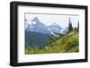 Washington, Mount Rainier National Park. Alpine Meadow and the Tatoosh Range-Jaynes Gallery-Framed Photographic Print