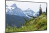 Washington, Mount Rainier National Park. Alpine Meadow and the Tatoosh Range-Jaynes Gallery-Mounted Photographic Print