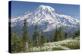 Washington, Mount Rainier National Park. Avalanche Lilies and Mount Rainier-Jaynes Gallery-Stretched Canvas