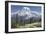 Washington, Mount Rainier National Park. Avalanche Lilies and Mount Rainier-Jaynes Gallery-Framed Premium Photographic Print