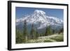 Washington, Mount Rainier National Park. Avalanche Lilies and Mount Rainier-Jaynes Gallery-Framed Premium Photographic Print