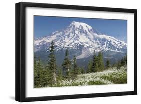 Washington, Mount Rainier National Park. Avalanche Lilies and Mount Rainier-Jaynes Gallery-Framed Photographic Print