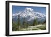 Washington, Mount Rainier National Park. Avalanche Lilies and Mount Rainier-Jaynes Gallery-Framed Photographic Print