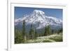 Washington, Mount Rainier National Park. Avalanche Lilies and Mount Rainier-Jaynes Gallery-Framed Photographic Print