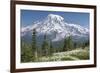 Washington, Mount Rainier National Park. Avalanche Lilies and Mount Rainier-Jaynes Gallery-Framed Photographic Print