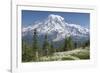 Washington, Mount Rainier National Park. Avalanche Lilies and Mount Rainier-Jaynes Gallery-Framed Photographic Print