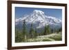 Washington, Mount Rainier National Park. Avalanche Lilies and Mount Rainier-Jaynes Gallery-Framed Photographic Print