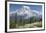 Washington, Mount Rainier National Park. Avalanche Lilies and Mount Rainier-Jaynes Gallery-Framed Photographic Print