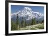 Washington, Mount Rainier National Park. Avalanche Lilies and Mount Rainier-Jaynes Gallery-Framed Photographic Print