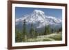 Washington, Mount Rainier National Park. Avalanche Lilies and Mount Rainier-Jaynes Gallery-Framed Photographic Print