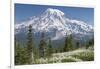 Washington, Mount Rainier National Park. Avalanche Lilies and Mount Rainier-Jaynes Gallery-Framed Photographic Print