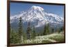 Washington, Mount Rainier National Park. Avalanche Lilies and Mount Rainier-Jaynes Gallery-Framed Photographic Print