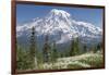 Washington, Mount Rainier National Park. Avalanche Lilies and Mount Rainier-Jaynes Gallery-Framed Photographic Print