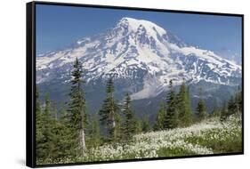 Washington, Mount Rainier National Park. Avalanche Lilies and Mount Rainier-Jaynes Gallery-Framed Stretched Canvas