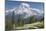 Washington, Mount Rainier National Park. Avalanche Lilies and Mount Rainier-Jaynes Gallery-Mounted Photographic Print