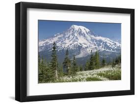 Washington, Mount Rainier National Park. Avalanche Lilies and Mount Rainier-Jaynes Gallery-Framed Premium Photographic Print