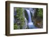 Washington, Mount Rainier National Park. Christine Falls Scenic-Jaynes Gallery-Framed Photographic Print