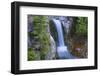 Washington, Mount Rainier National Park. Christine Falls Scenic-Jaynes Gallery-Framed Photographic Print