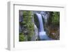 Washington, Mount Rainier National Park. Christine Falls Scenic-Jaynes Gallery-Framed Photographic Print