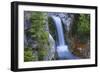 Washington, Mount Rainier National Park. Christine Falls Scenic-Jaynes Gallery-Framed Photographic Print