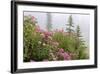 Washington, Mount Rainier National Park. Close Up of Wildflowers-Jaynes Gallery-Framed Photographic Print