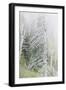 Washington, Mount Rainier National Park. Dead Trees in a Forest-Jaynes Gallery-Framed Photographic Print