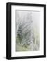 Washington, Mount Rainier National Park. Dead Trees in a Forest-Jaynes Gallery-Framed Photographic Print