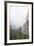 Washington, Mount Rainier National Park. Evergreen Trees in Fog-Jaynes Gallery-Framed Photographic Print