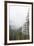 Washington, Mount Rainier National Park. Evergreen Trees in Fog-Jaynes Gallery-Framed Photographic Print