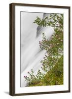 Washington, Mount Rainier National Park. Flowers and Waterfall in Paradise Creek-Jaynes Gallery-Framed Photographic Print