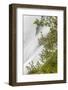 Washington, Mount Rainier National Park. Flowers and Waterfall in Paradise Creek-Jaynes Gallery-Framed Photographic Print