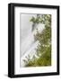 Washington, Mount Rainier National Park. Flowers and Waterfall in Paradise Creek-Jaynes Gallery-Framed Photographic Print