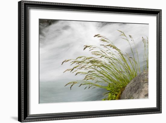 Washington, Mount Rainier National Park. Grass and Rushing Water-Jaynes Gallery-Framed Photographic Print