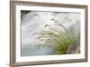 Washington, Mount Rainier National Park. Grass and Rushing Water-Jaynes Gallery-Framed Photographic Print