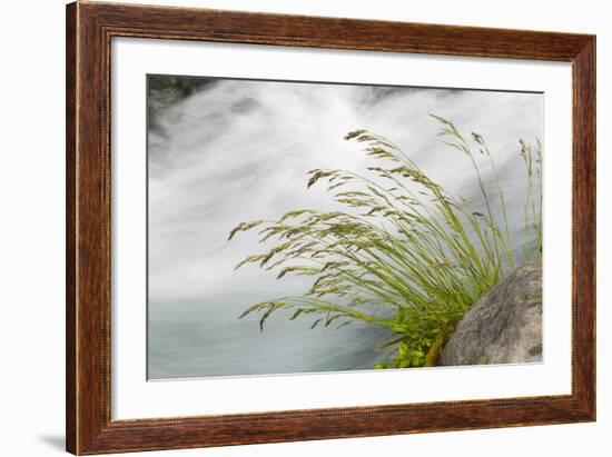 Washington, Mount Rainier National Park. Grass and Rushing Water-Jaynes Gallery-Framed Photographic Print
