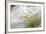 Washington, Mount Rainier National Park. Grass and Rushing Water-Jaynes Gallery-Framed Photographic Print