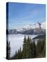 Washington, Mount Rainier National Park. Landscape from Sunrise Point-Jaynes Gallery-Stretched Canvas