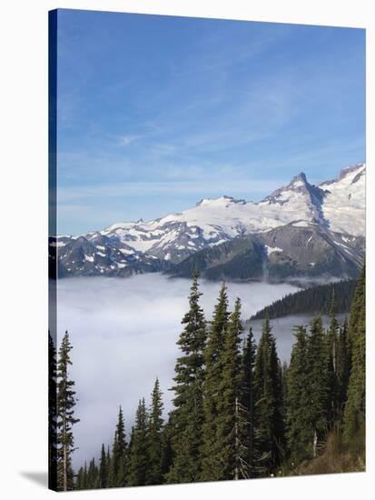 Washington, Mount Rainier National Park. Landscape from Sunrise Point-Jaynes Gallery-Stretched Canvas