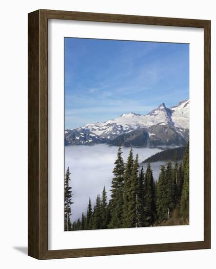 Washington, Mount Rainier National Park. Landscape from Sunrise Point-Jaynes Gallery-Framed Photographic Print