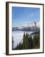 Washington, Mount Rainier National Park. Landscape from Sunrise Point-Jaynes Gallery-Framed Photographic Print