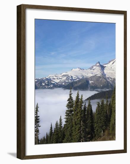 Washington, Mount Rainier National Park. Landscape from Sunrise Point-Jaynes Gallery-Framed Photographic Print