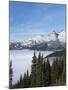 Washington, Mount Rainier National Park. Landscape from Sunrise Point-Jaynes Gallery-Mounted Photographic Print